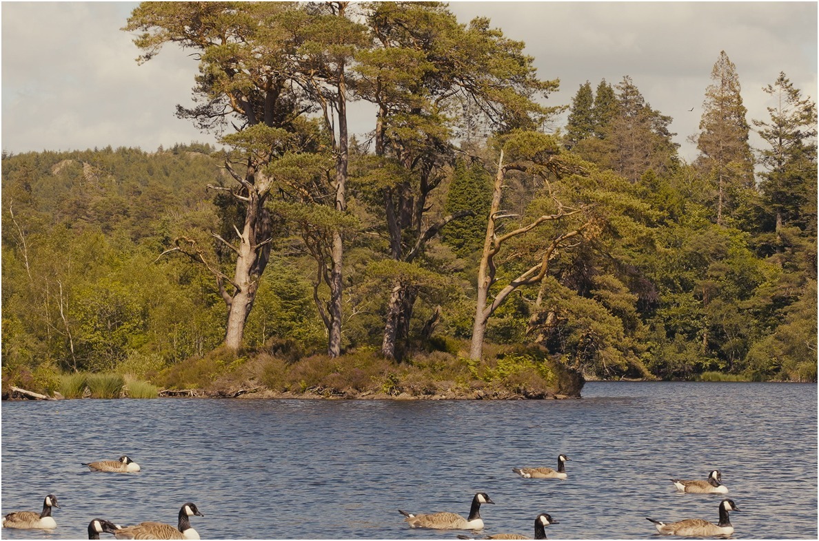 Tarn Hows and accommodation in the Lake District