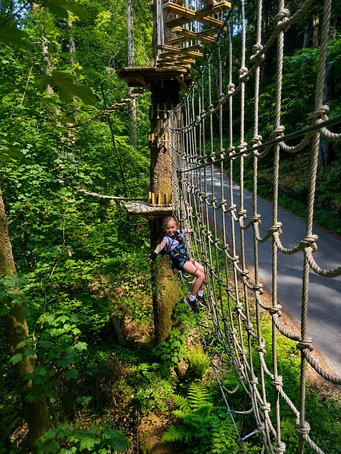 Go Ape Grizedale Forest Treetop Adventure Plus Review - Lakes Lodges Child tackling a rope obstacle on the Go Ape Treetop Adventure Plus course at Grizedale Forest in the Lake District.